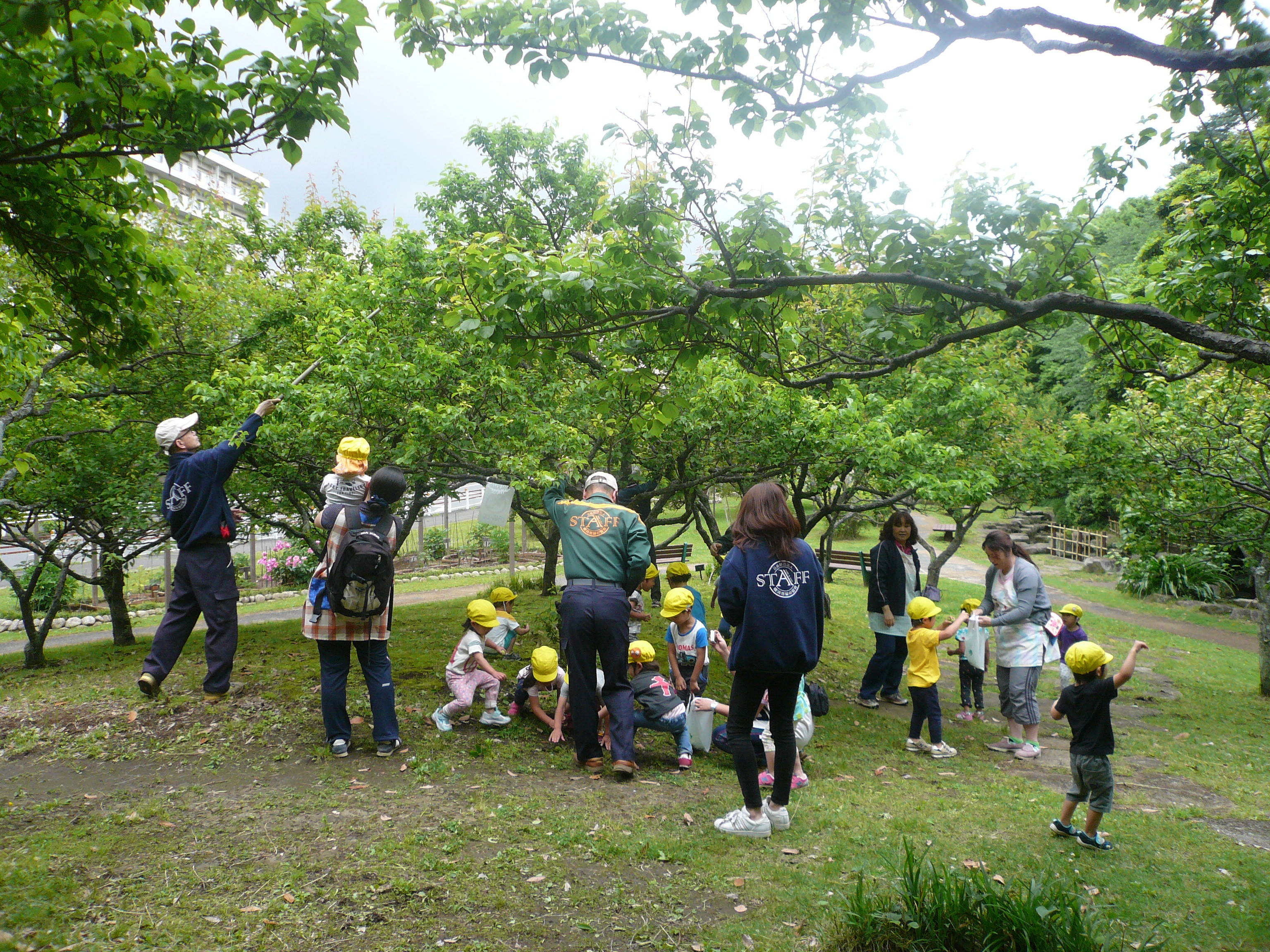 P1090828.jpg