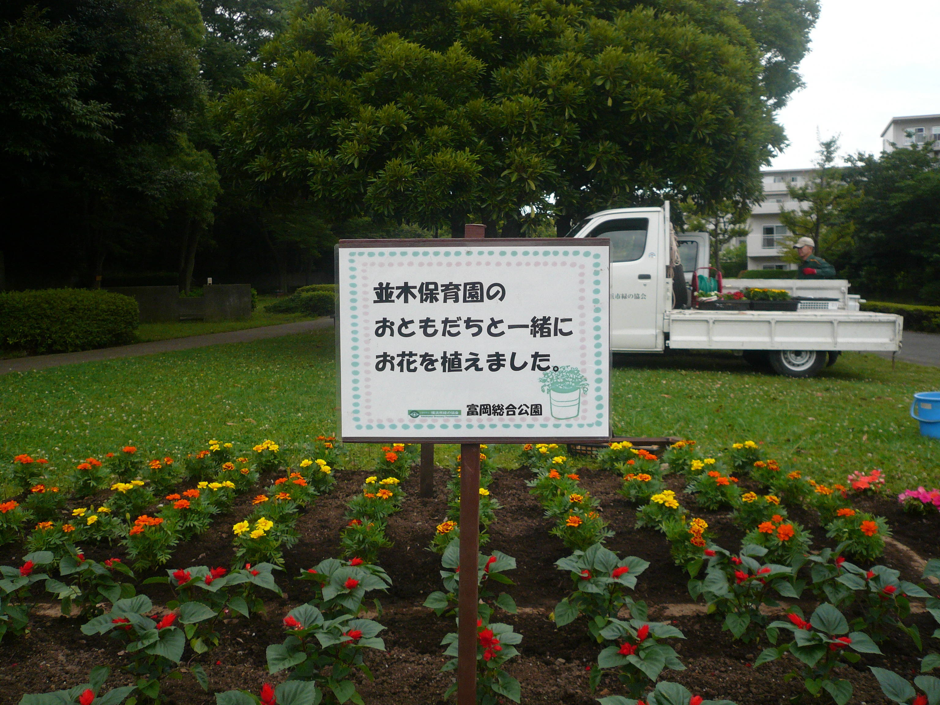 P1100078.jpg