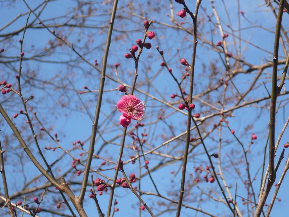P1110339.jpg