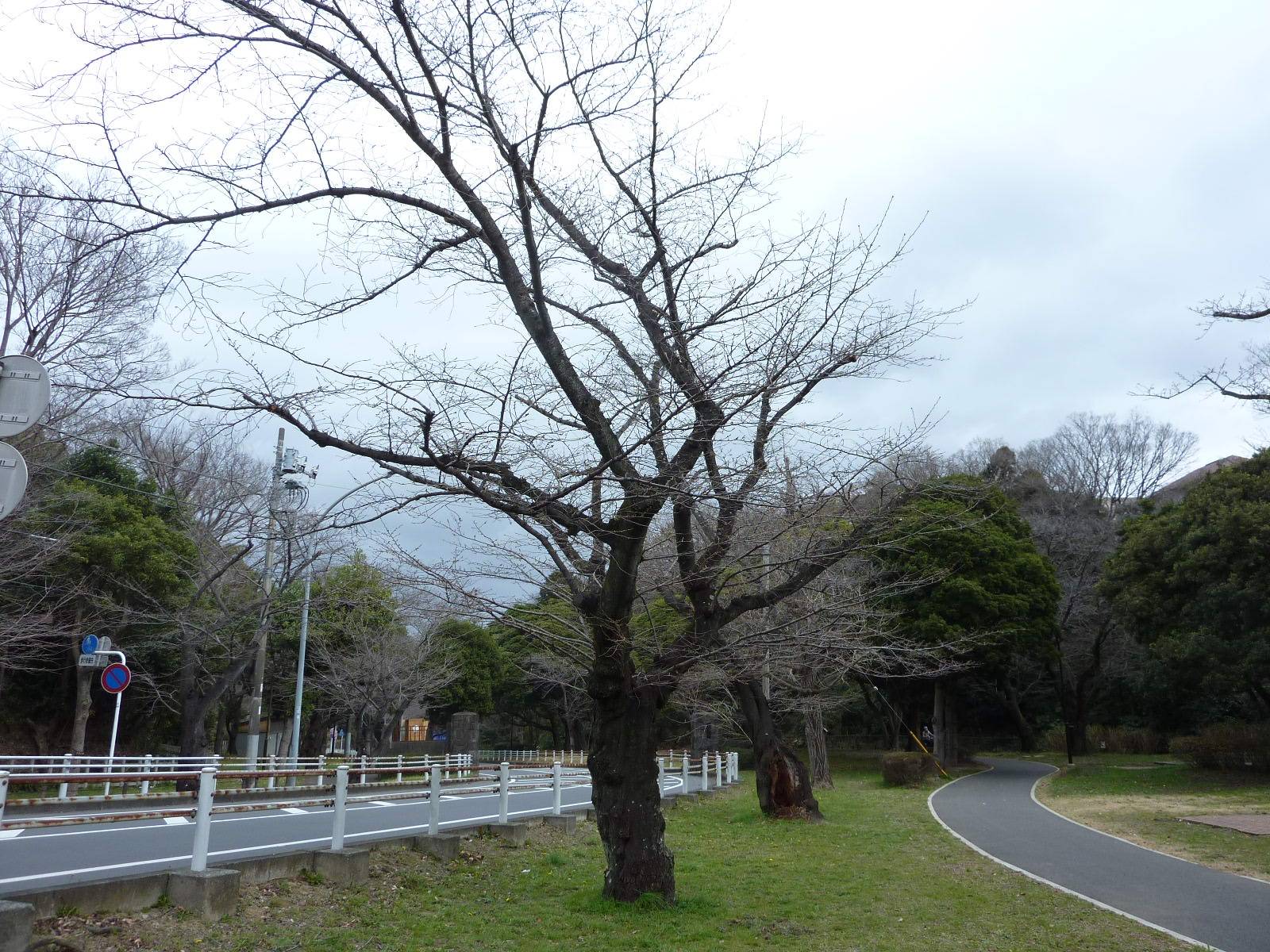 P1030710.jpg