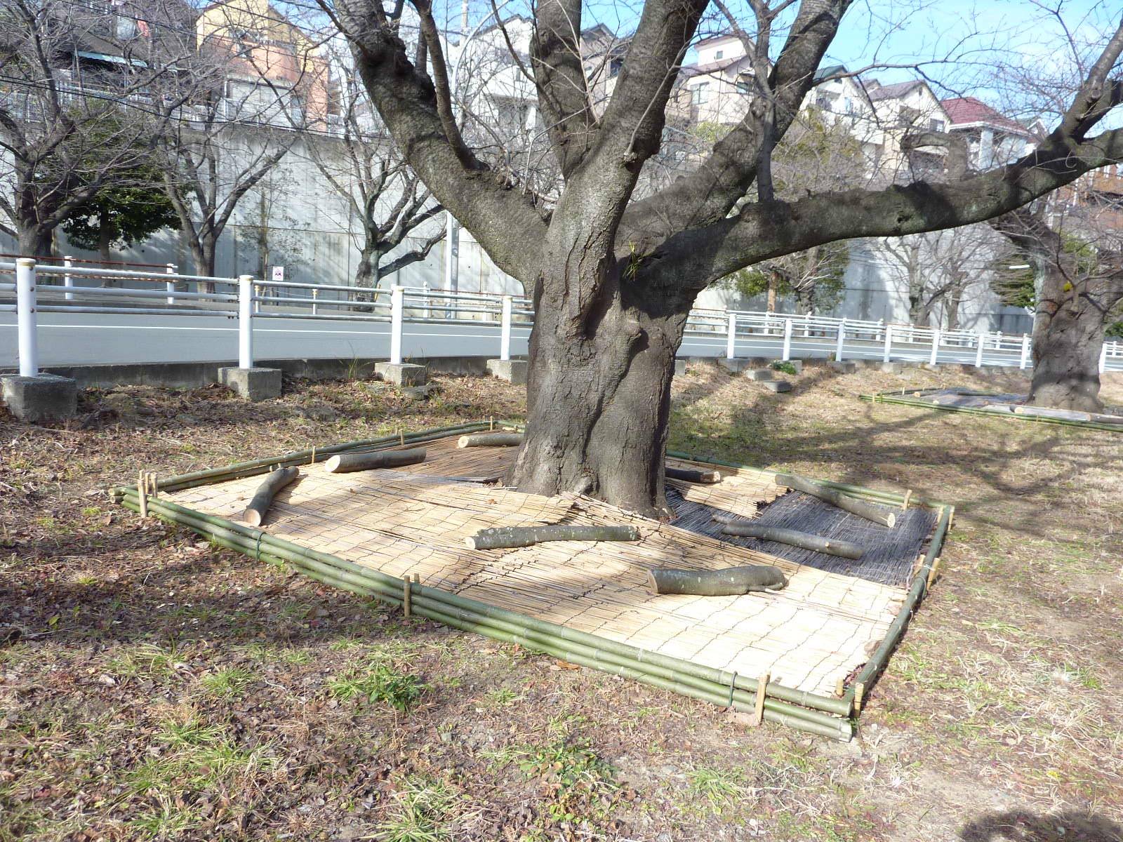 P1050704.jpg