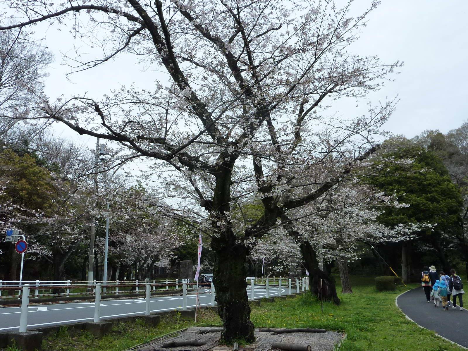 P1050841.jpg