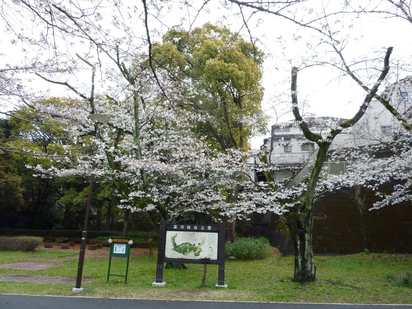 P1050844.jpg