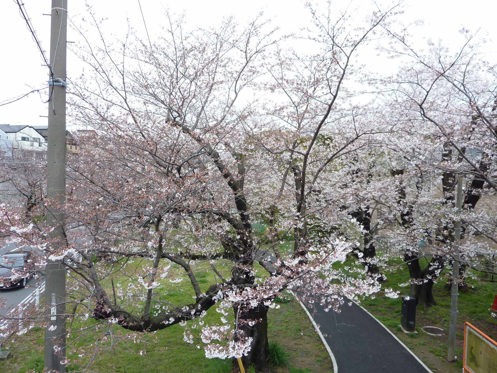 P1050846.jpg