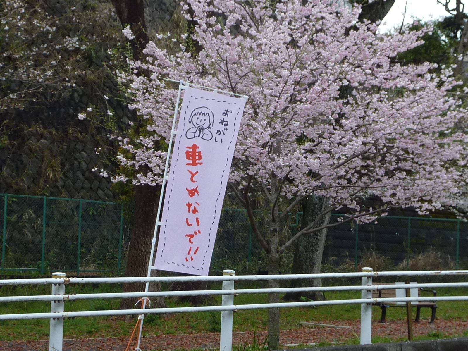 P1050850.jpg