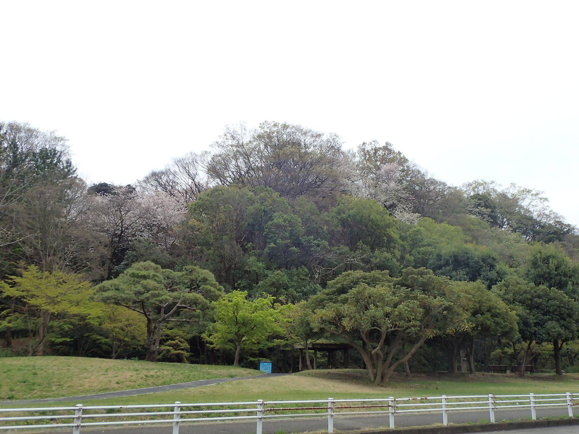 P4064001.jpg
