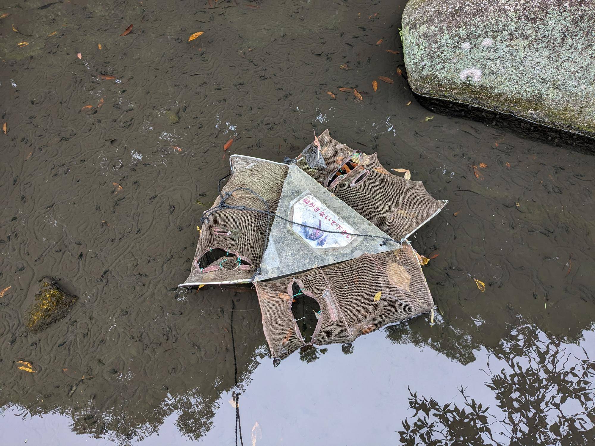 02.ザリガニ仕掛け.jpg