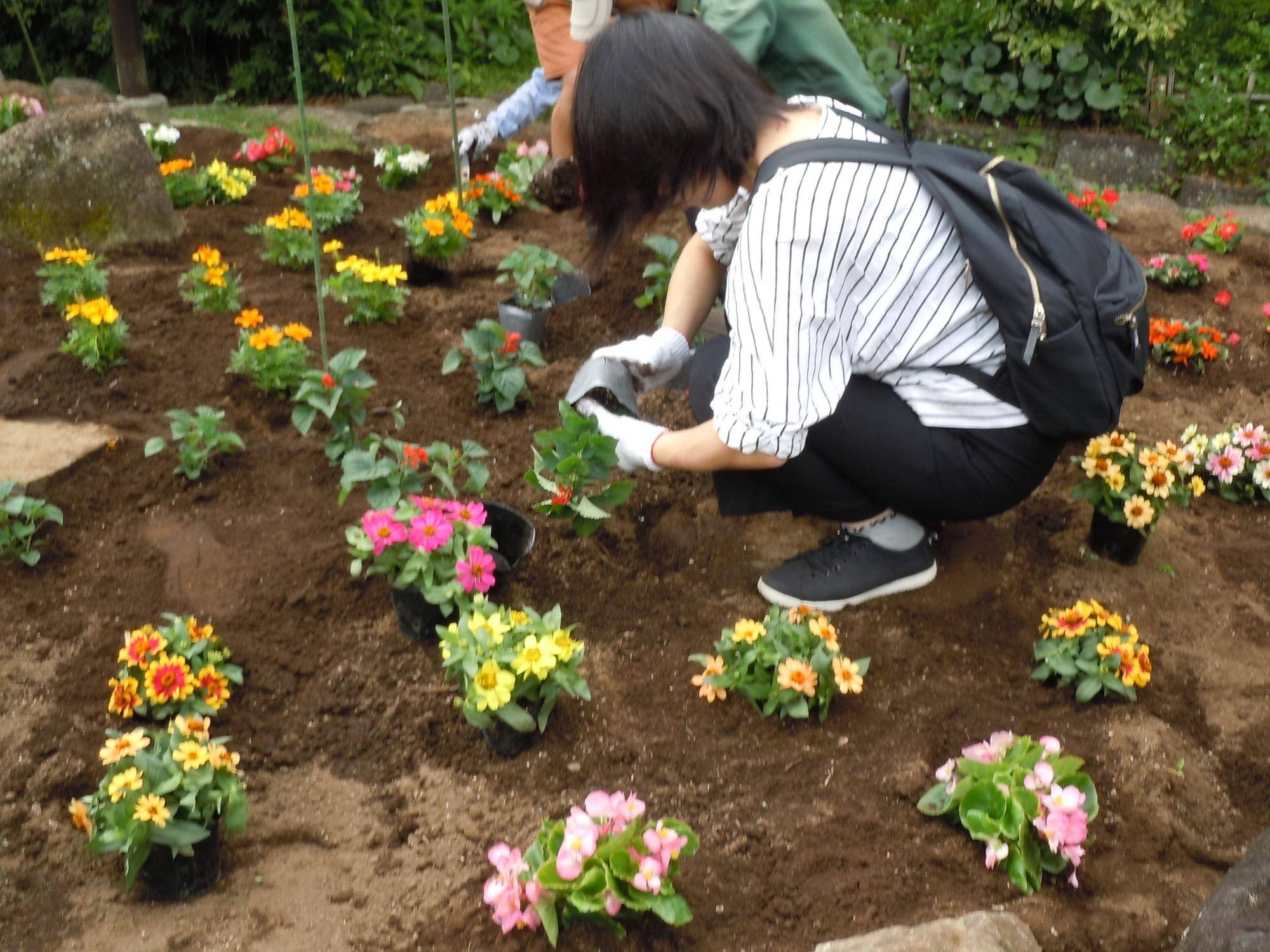 苗植え(大人).jpg