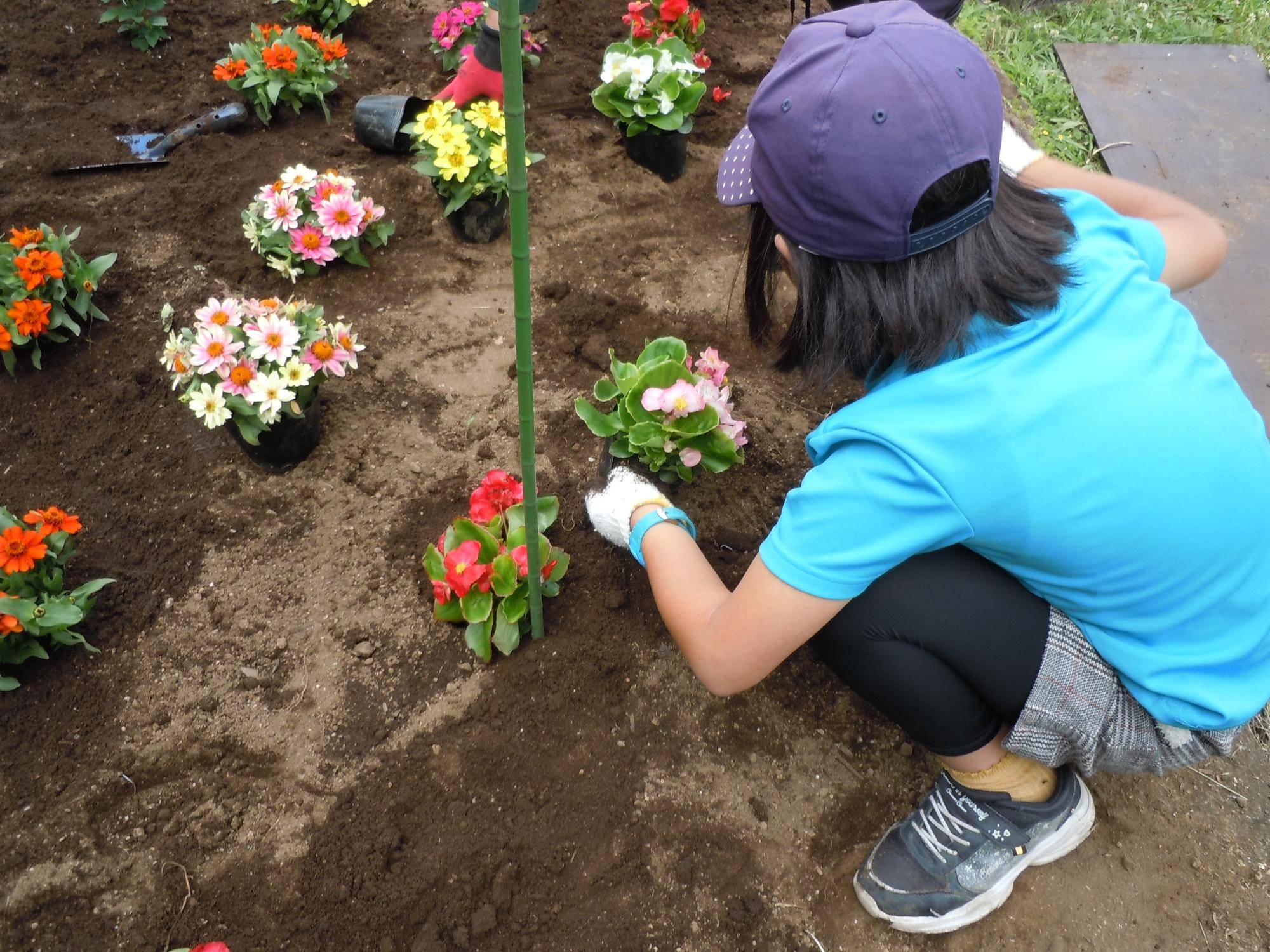 苗植え(子供).jpg