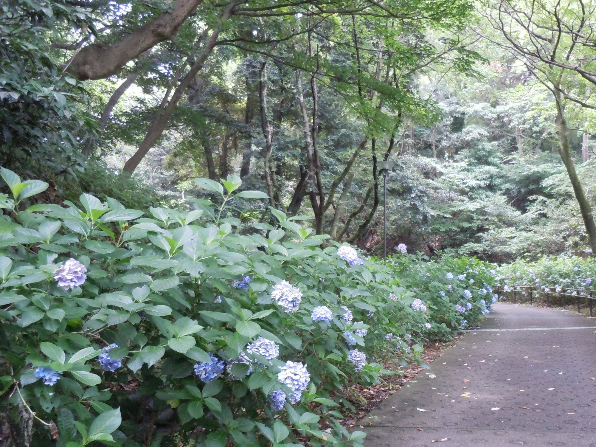DSCN2210.jpg