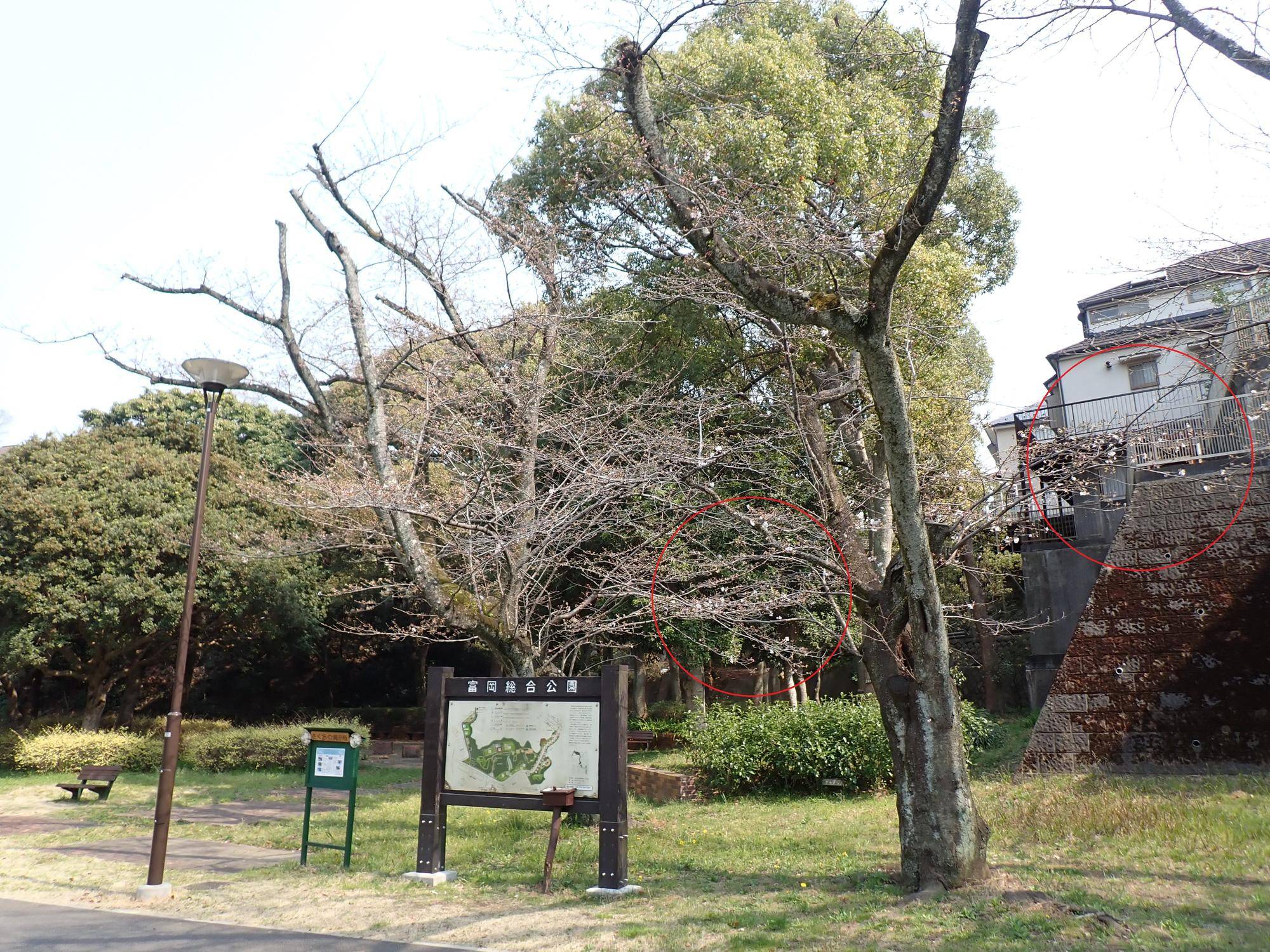 P3260176_MU.jpg