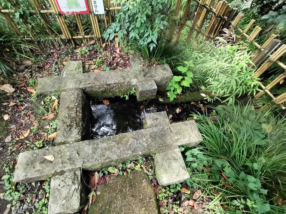 5.湧き水.jpg