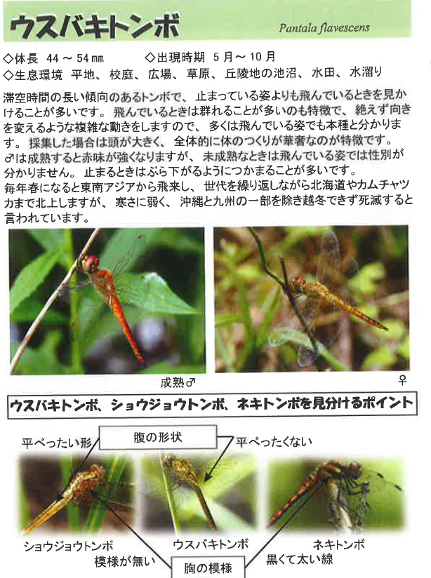 スクリーンショット 2025-09-07 145919.png