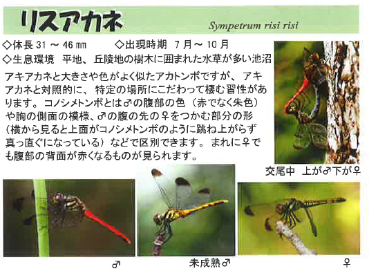 スクリーンショット 2025-09-07 150341.png