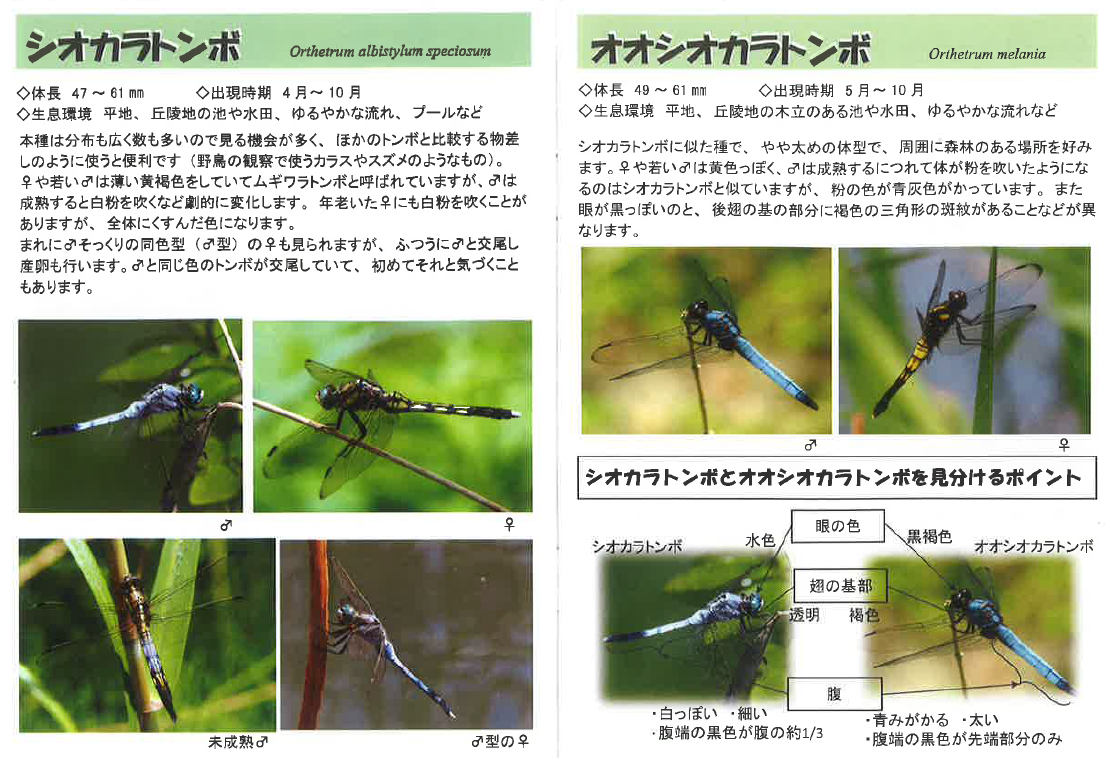 スクリーンショット 2025-09-07 145457.png