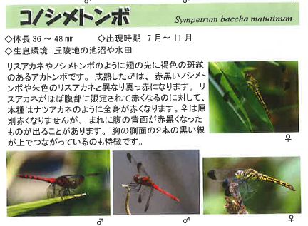 スクリーンショット 2025-09-07 150128.png