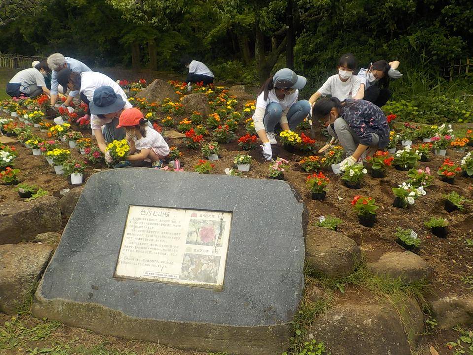 DSCN0029 - コピー.jpg