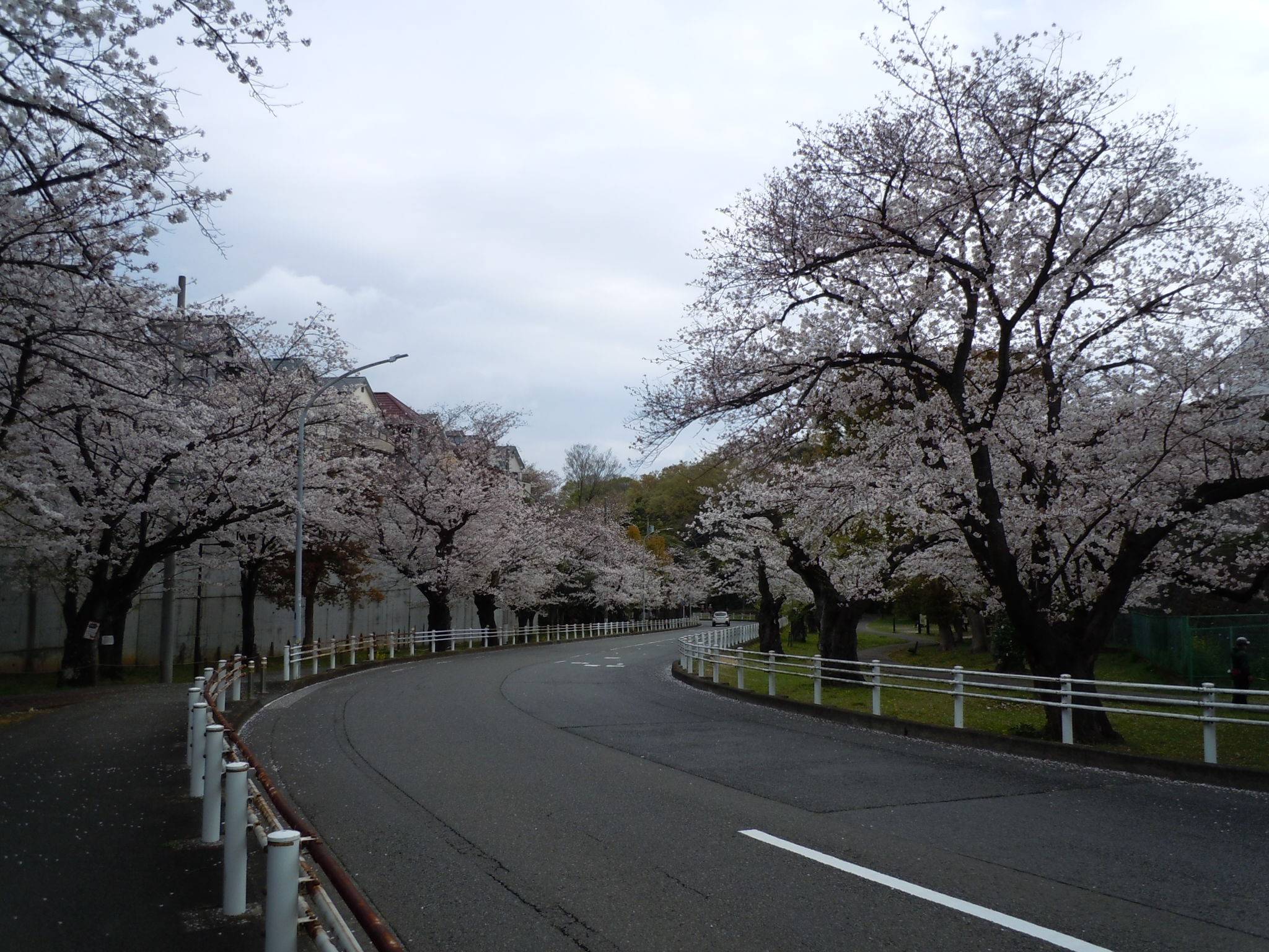 DSCN0070.jpg