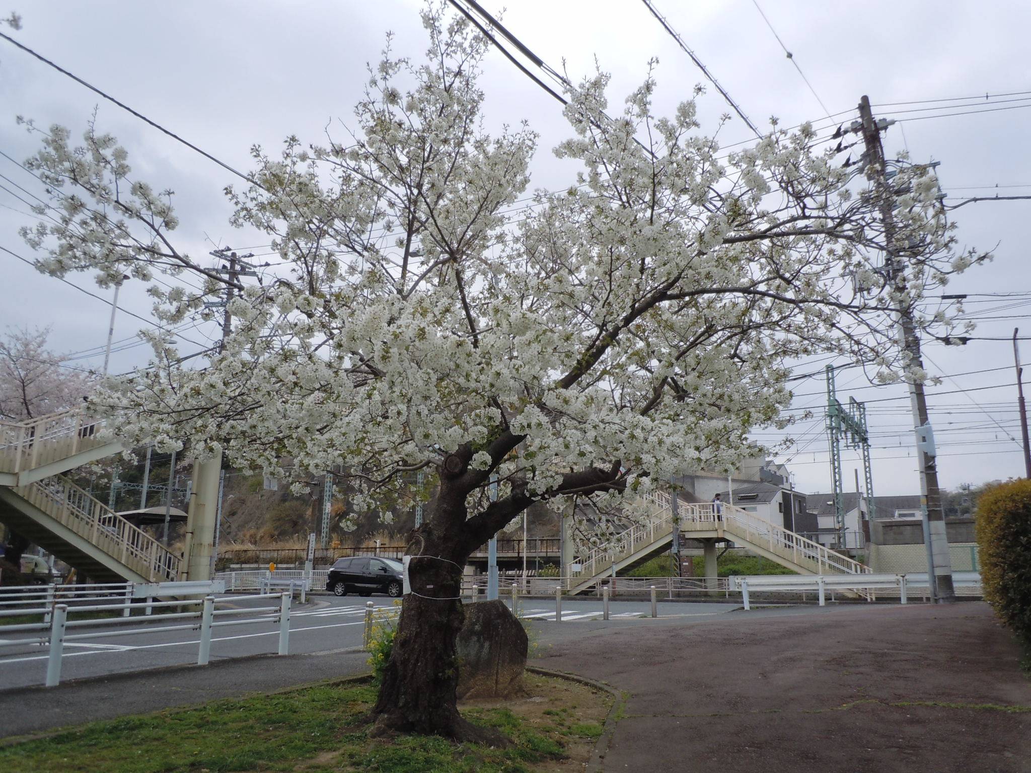 DSCN0071.jpg