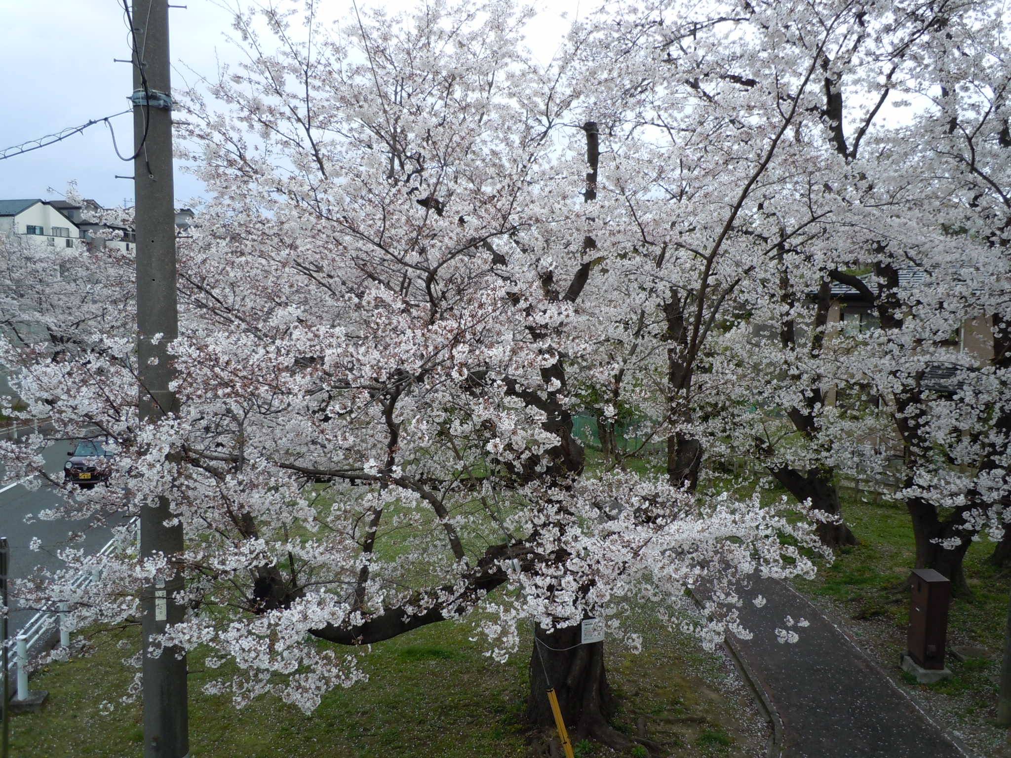 DSCN0072.jpg