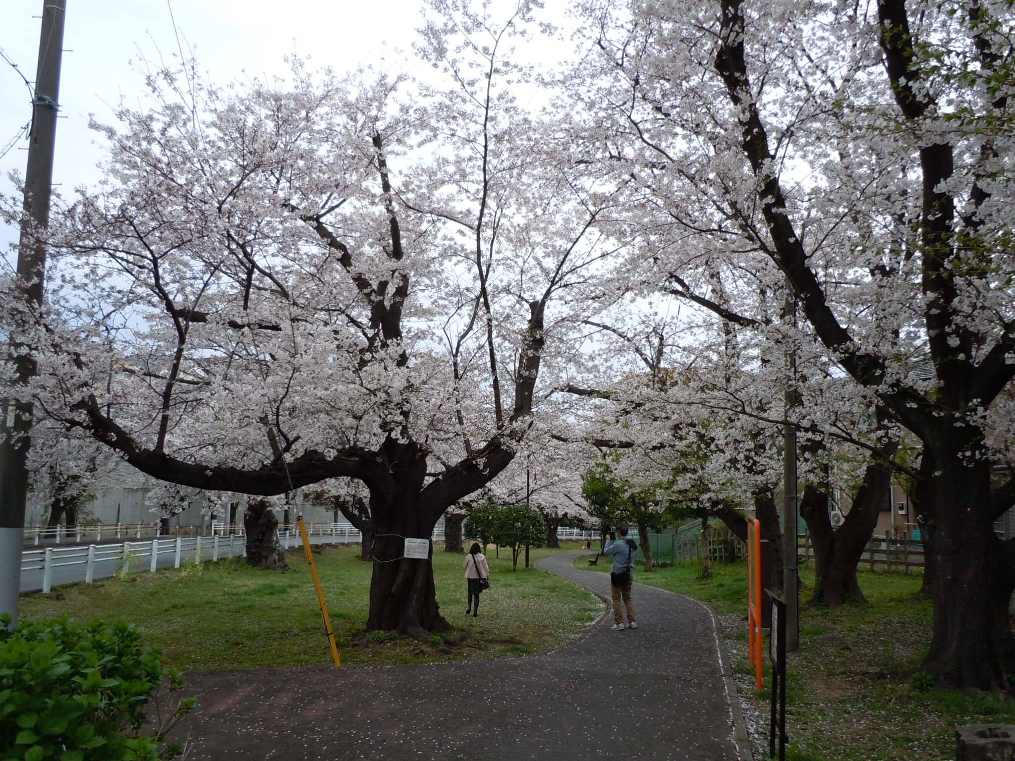 DSCN0073.jpg