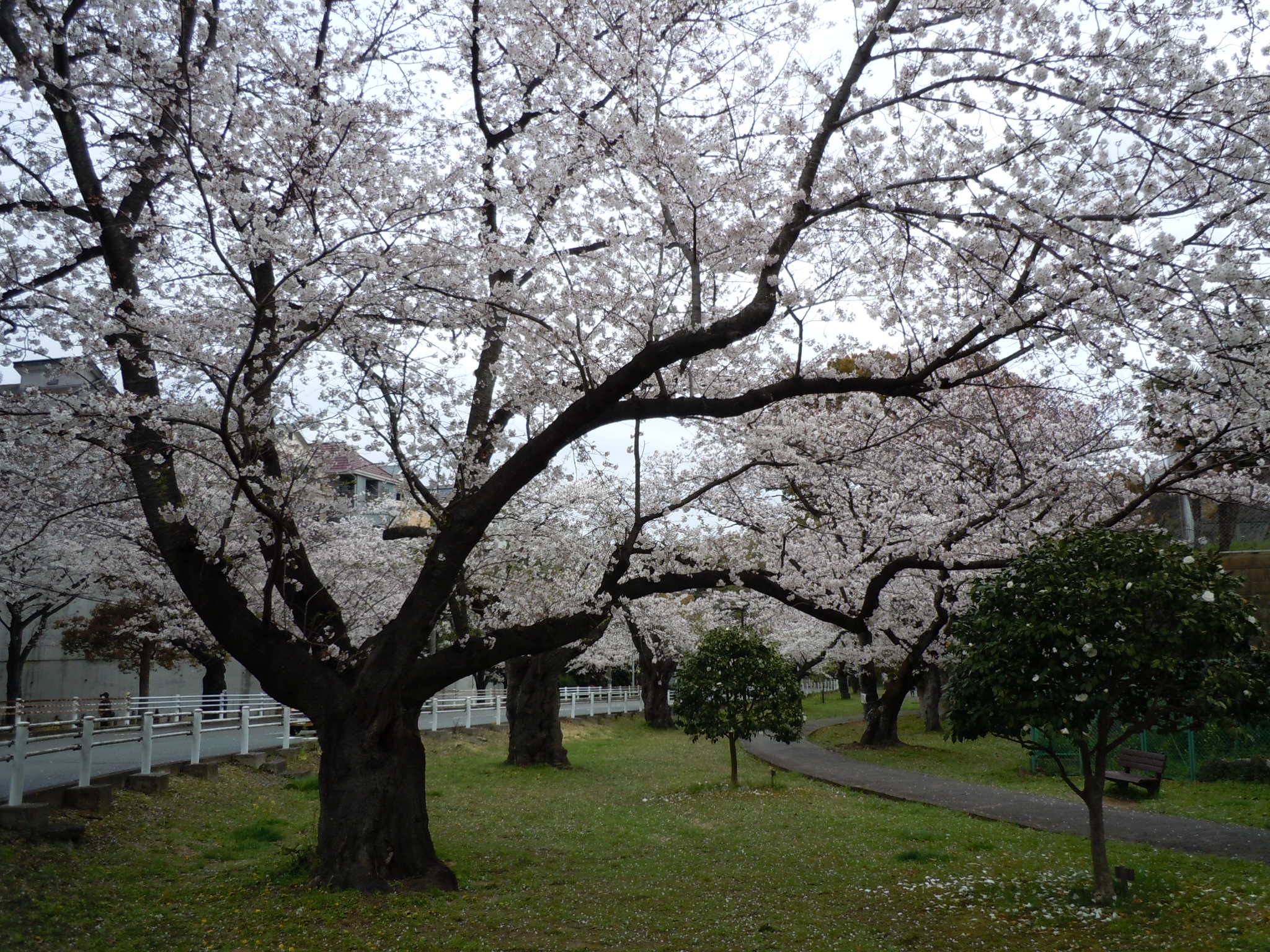 DSCN0074.jpg
