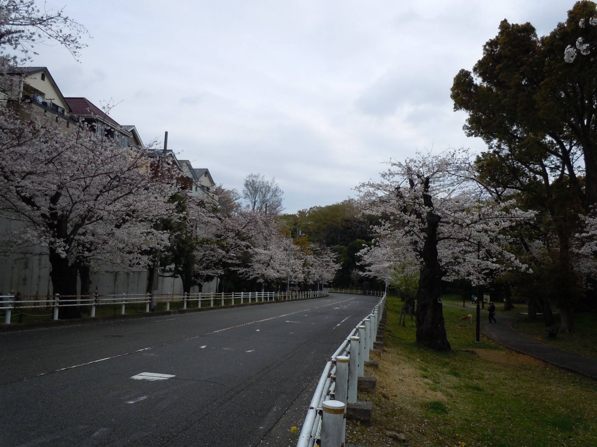 DSCN0075.jpg
