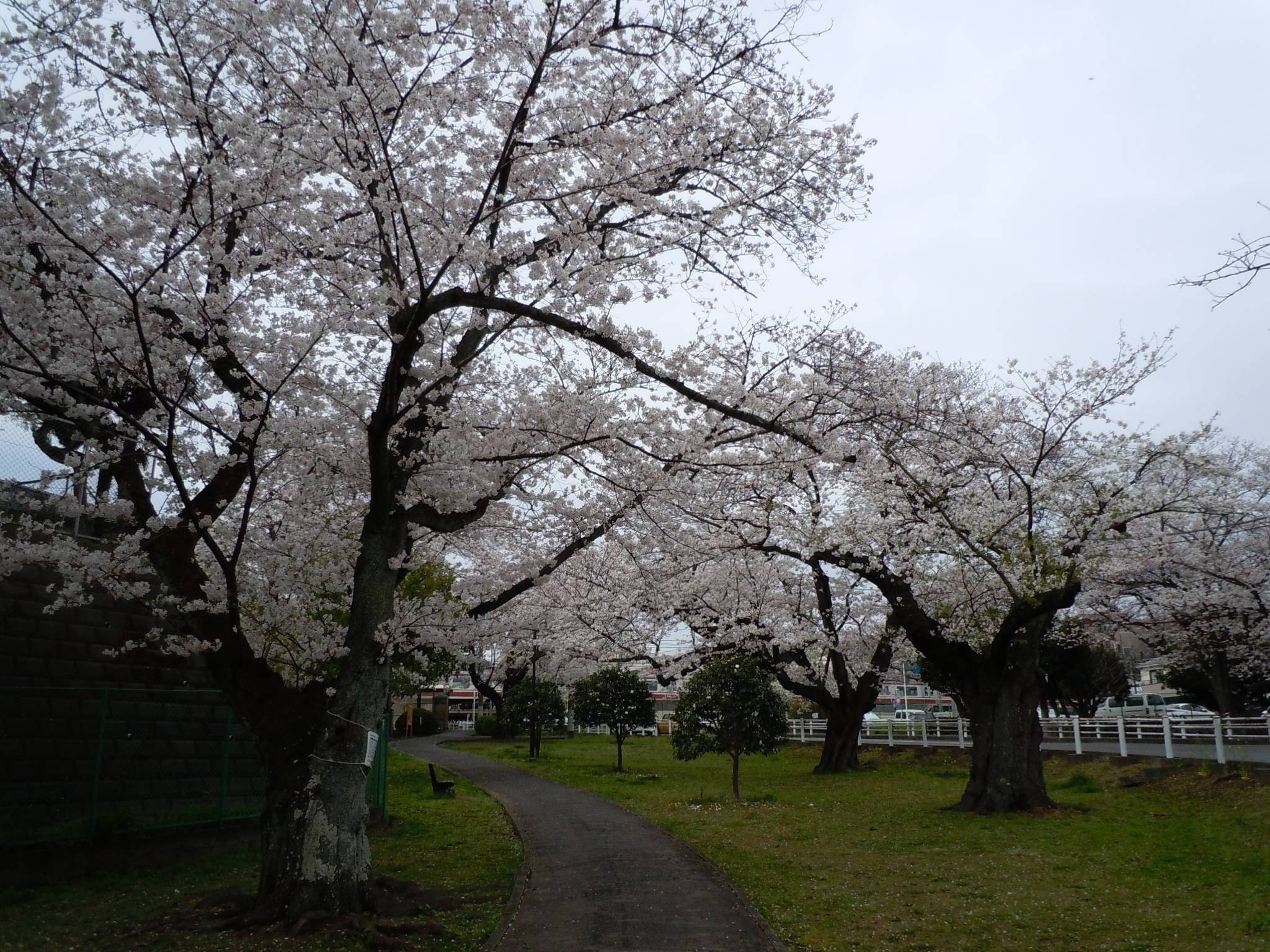 DSCN0076.jpg