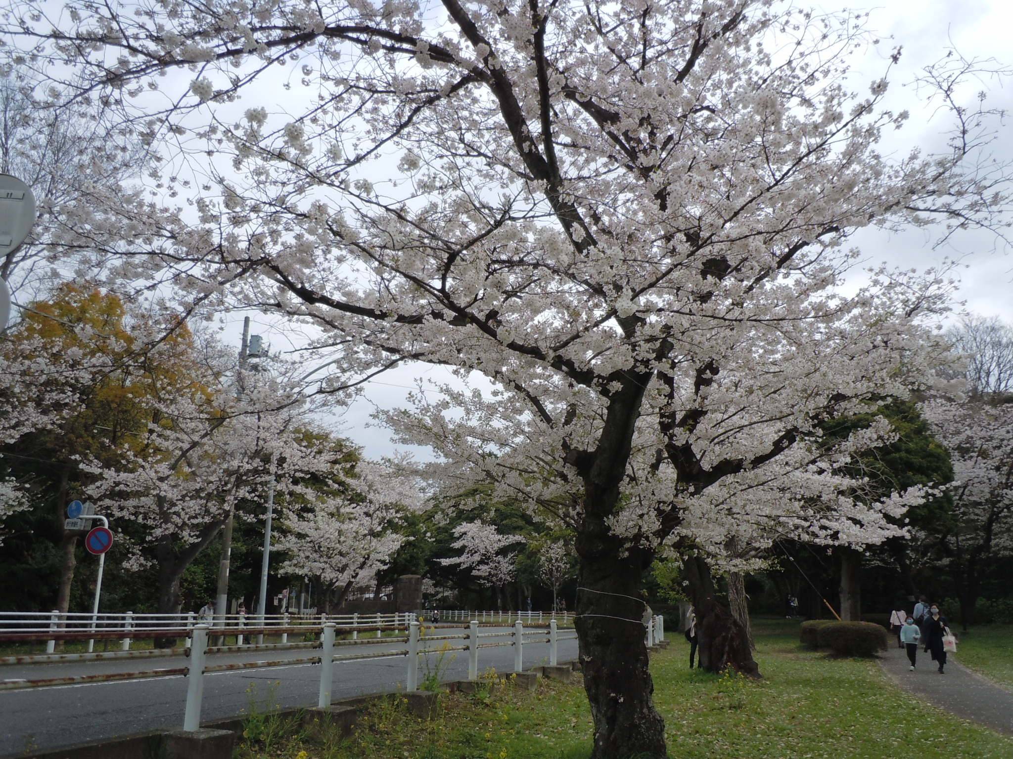 DSCN0077.jpg