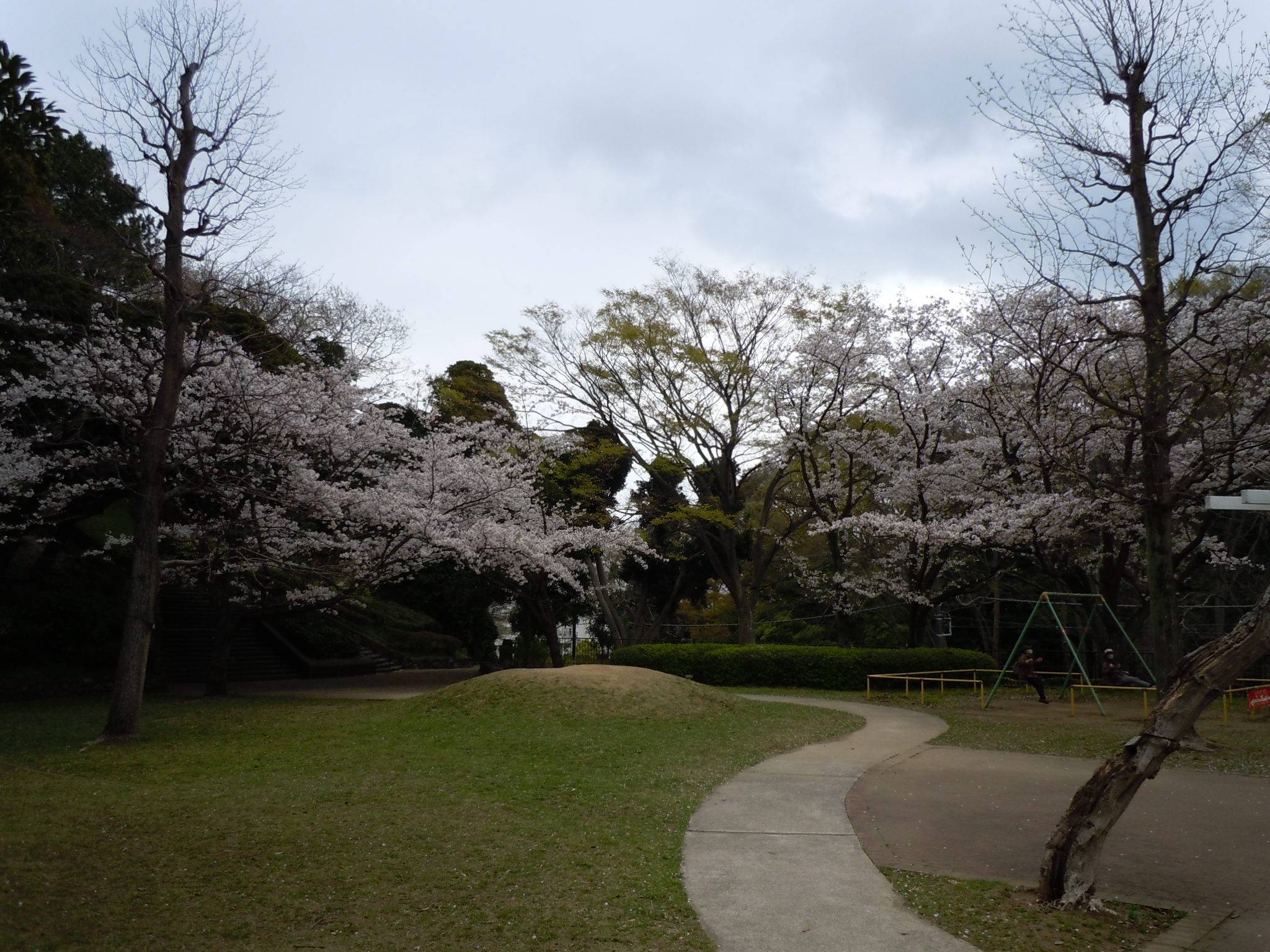 DSCN0081.jpg