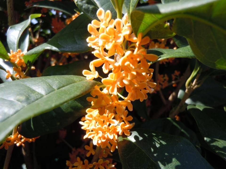 DSCN0487.jpg