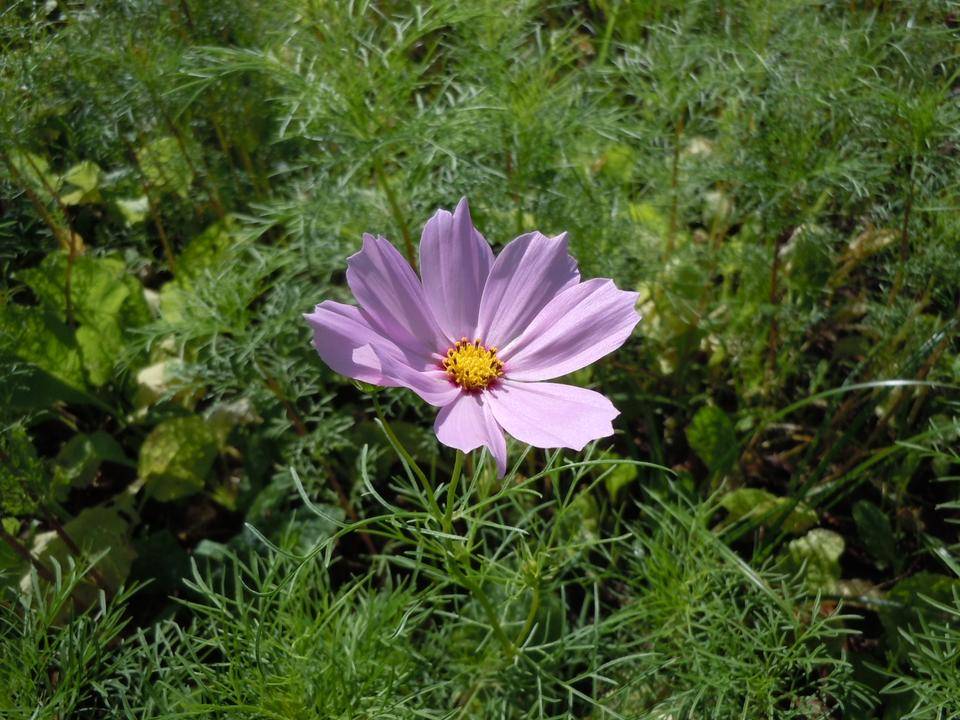 DSCN0491.jpg