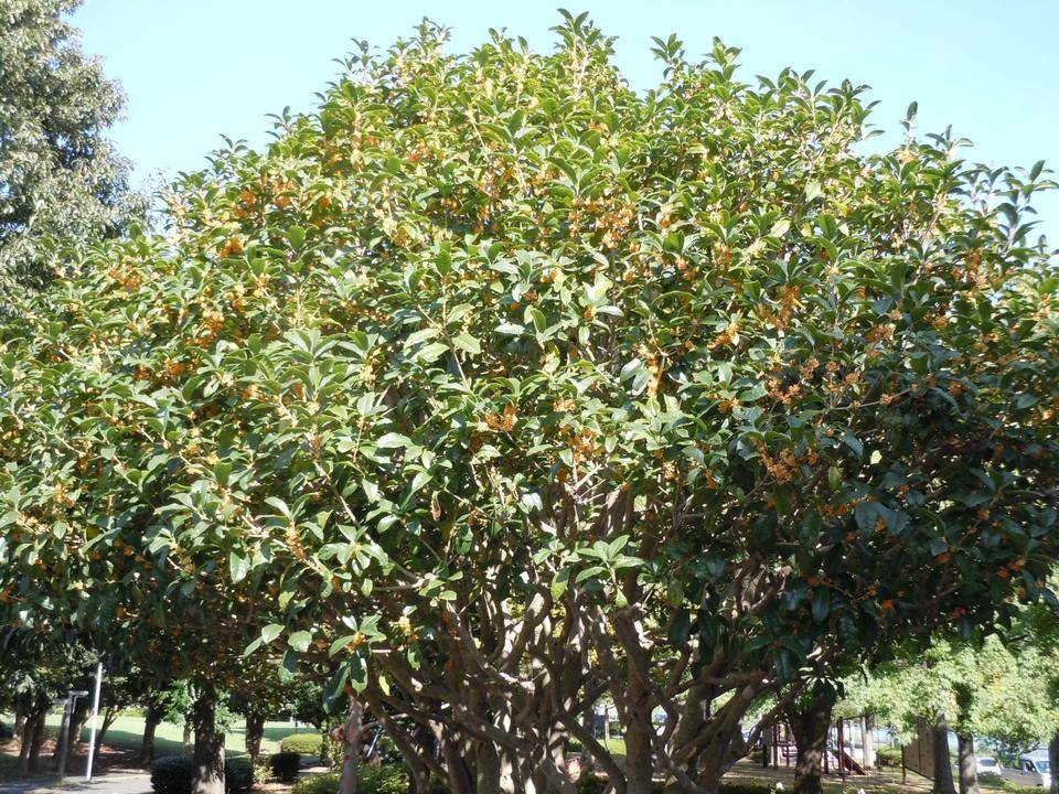 DSCN0494.jpg