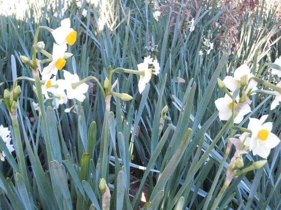 DSCN0708.jpg