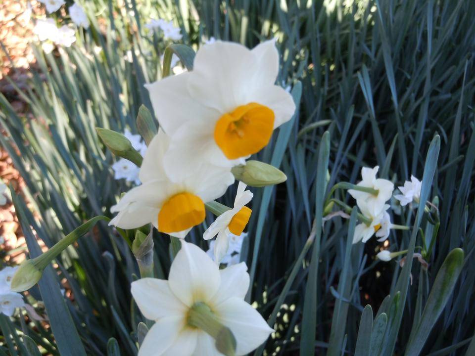 DSCN0710.jpg