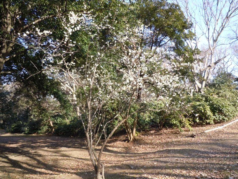 DSCN0823.jpg