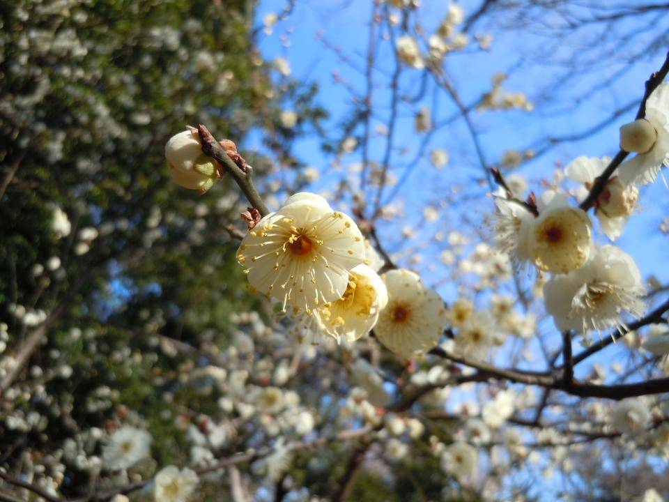 DSCN0824.jpg