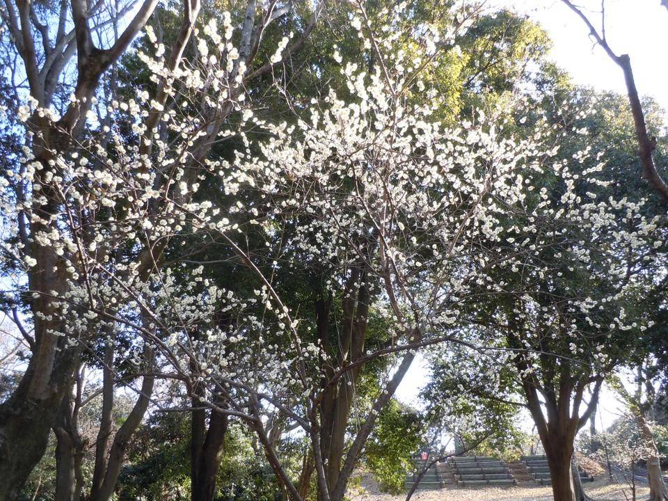 DSCN0827.jpg