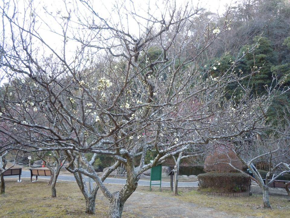 DSCN0828.jpg