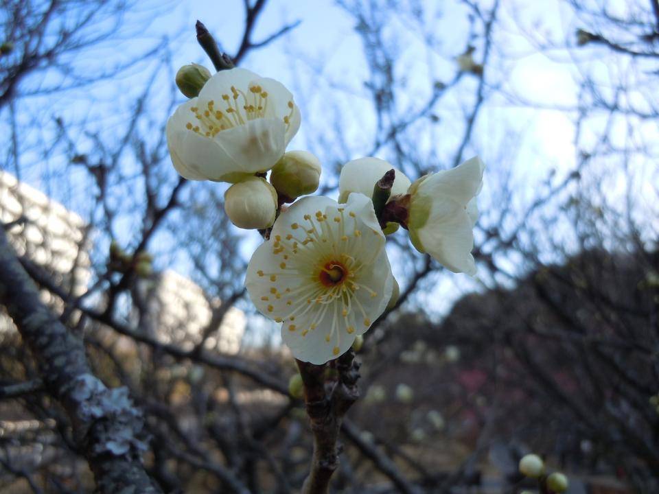 DSCN0829.jpg