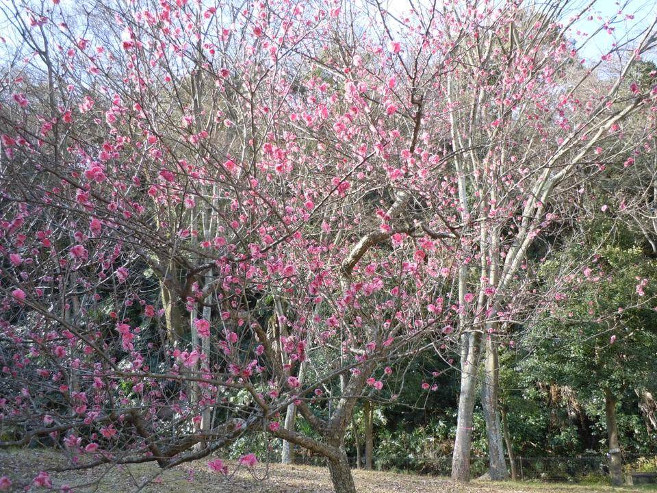 DSCN0830.jpg