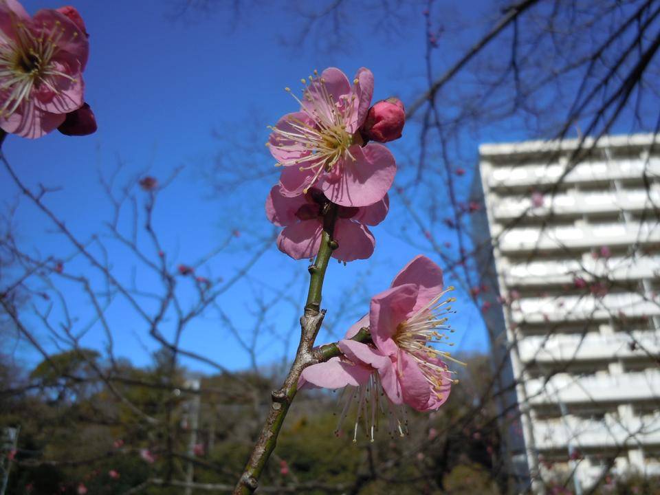 DSCN0832.jpg