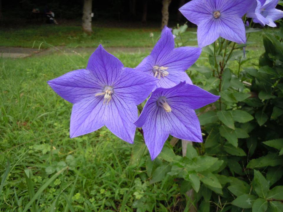 DSCN1204.jpg