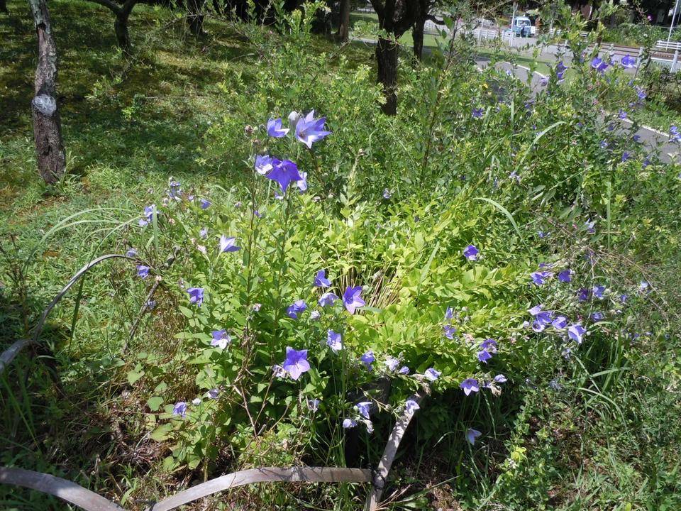 DSCN1206.jpg