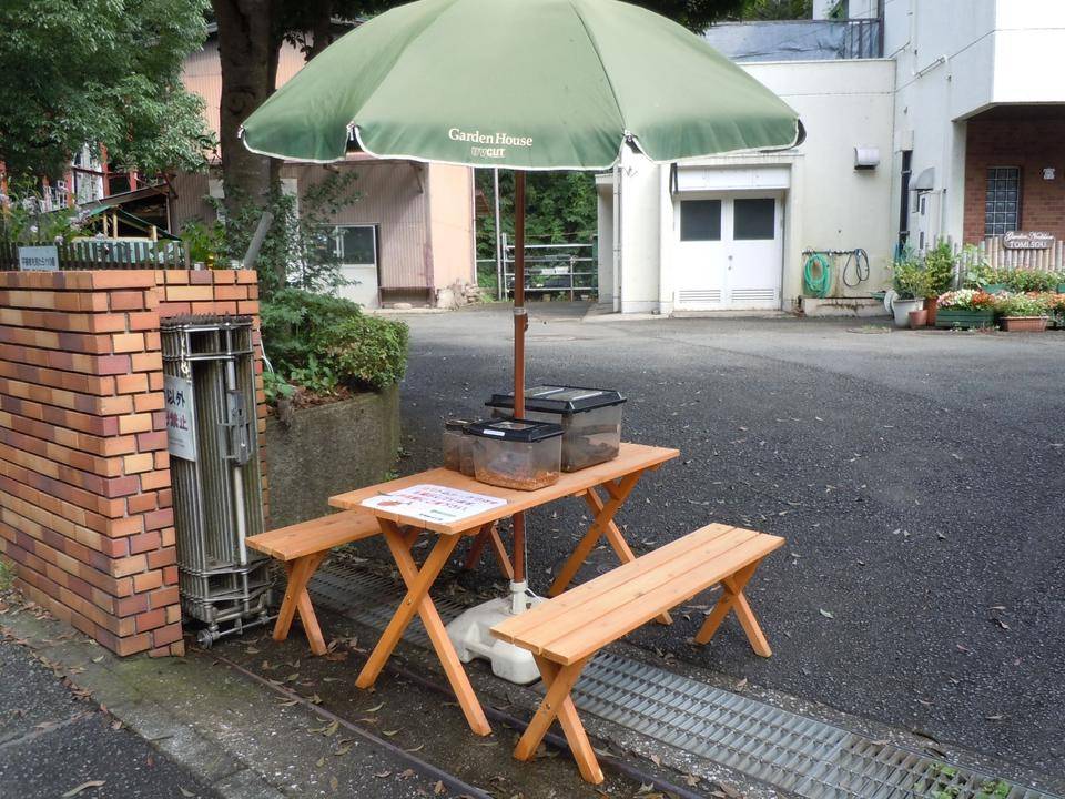 DSCN1213.jpg
