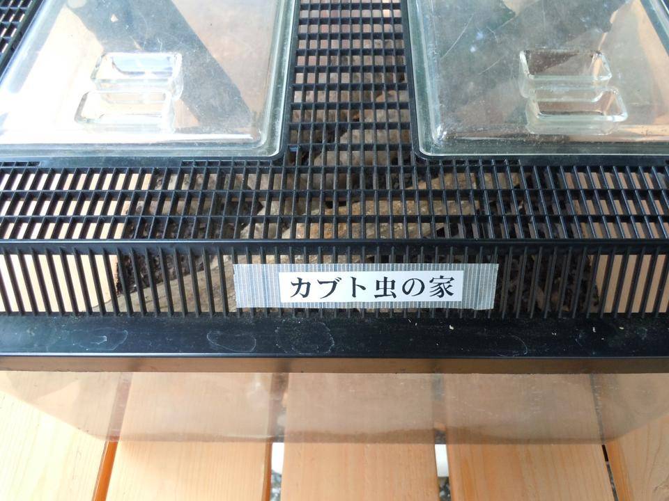 DSCN1218.jpg