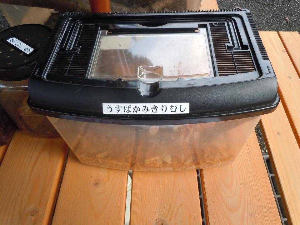DSCN1219.jpg