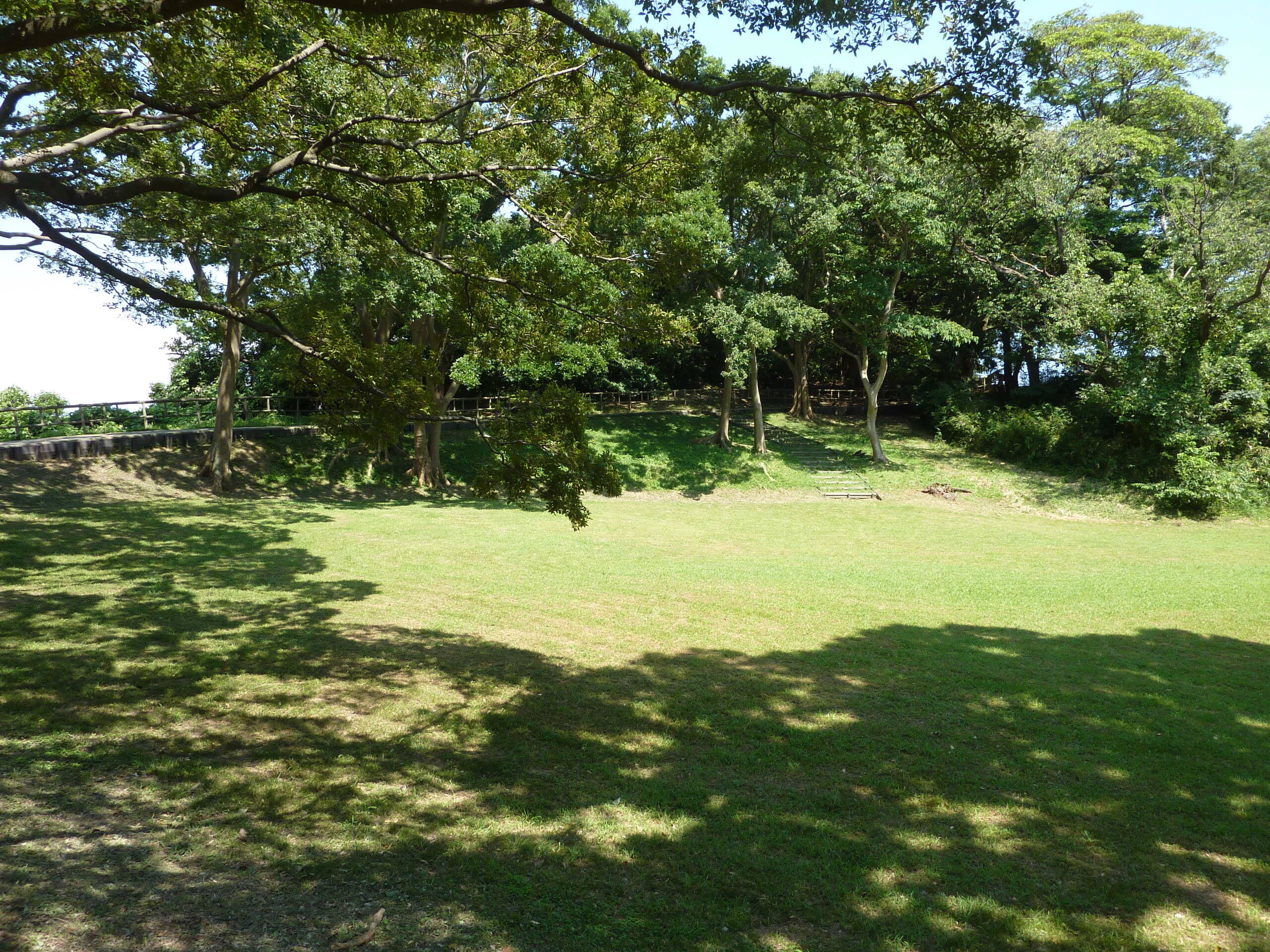 P1020980.jpg