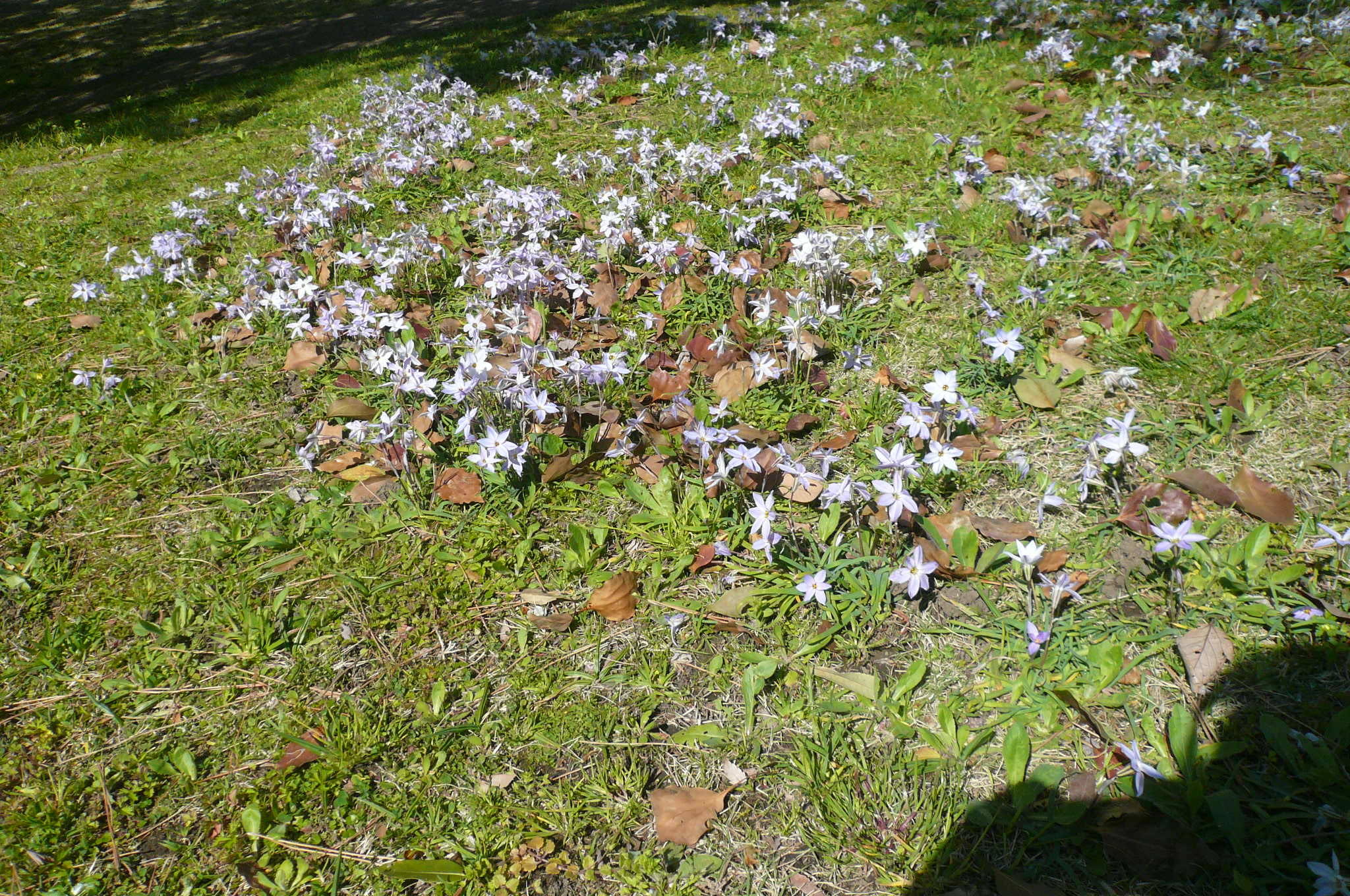 P1110873.jpg