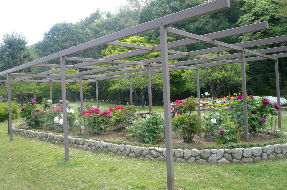 P1110936.jpg